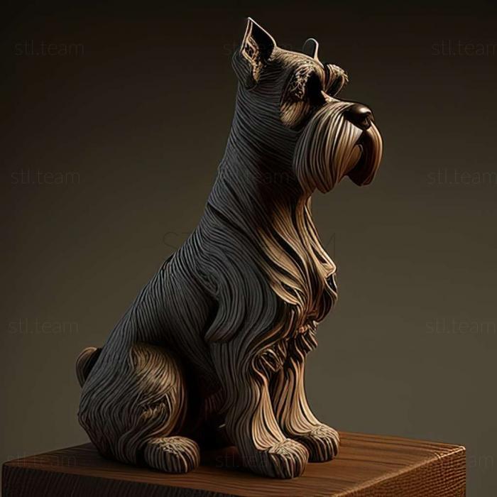 Zwergschnauzer dog